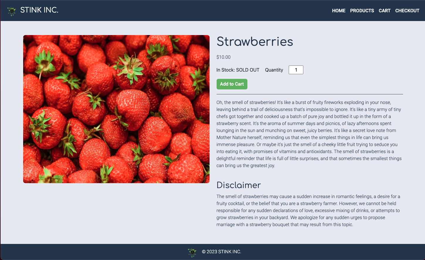 e-commerce website group project